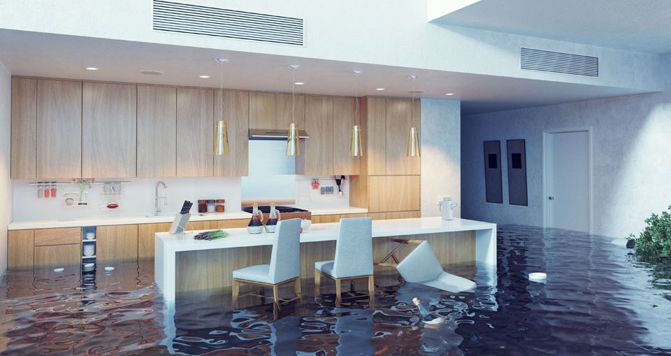 Critical Benefits of Hiring Professional Water Damage Restoration Services