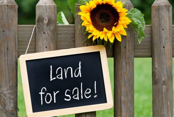 Different Ways to Search for a Suitable Land