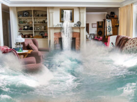 How to Handle Water Damage in the Home