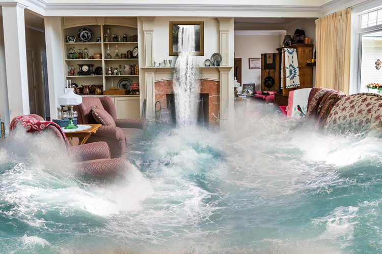 How to Handle Water Damage in the Home