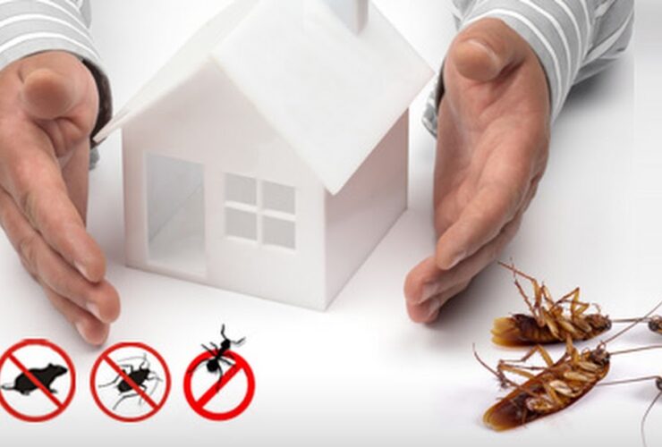 Premium Quality Pest Control Solutions