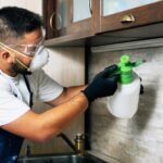 DIY vs. Pest Control: What’s Better for Your Leander Home?
