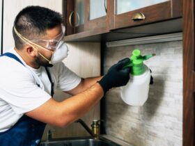 DIY vs. Pest Control: What’s Better for Your Leander Home?