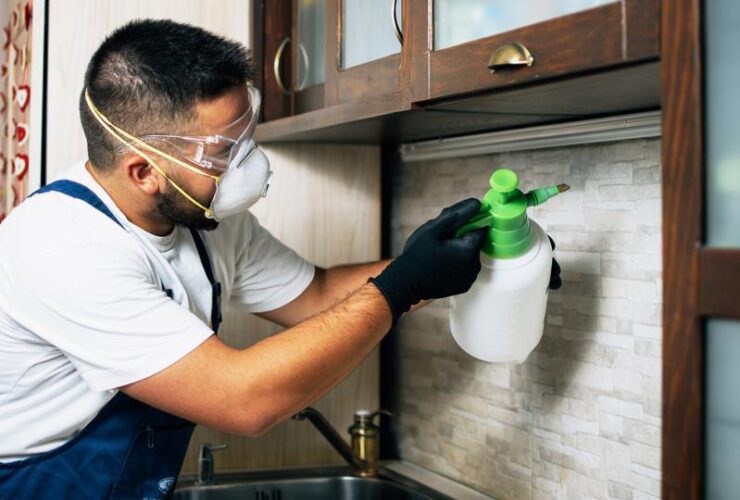 DIY vs. Pest Control: What’s Better for Your Leander Home?